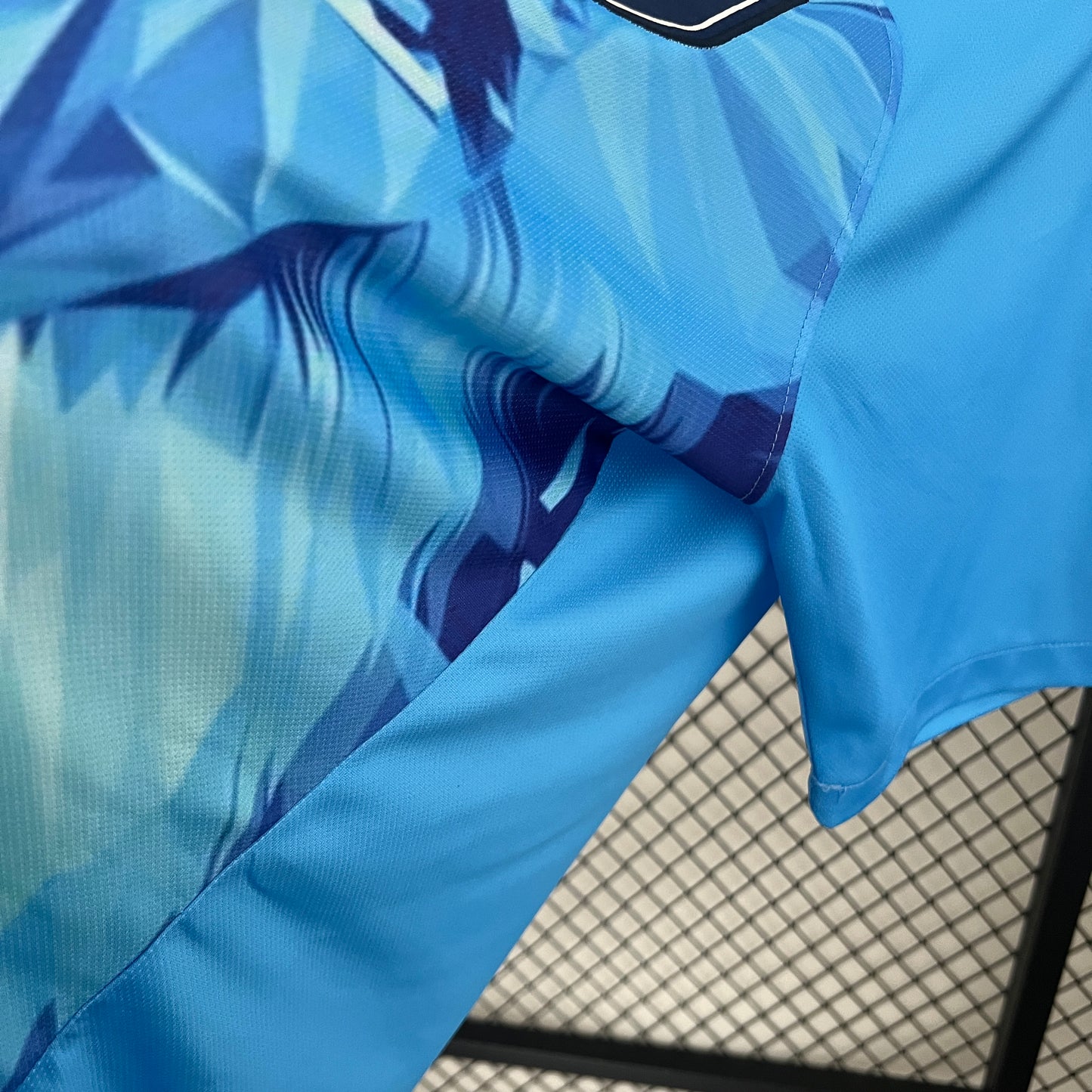 Camiseta Países Bajos Edición Especial León 2024 Versión Fan