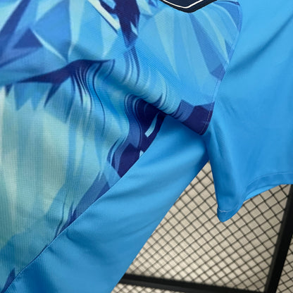 Camiseta Países Bajos Edición Especial León 2024 Versión Fan