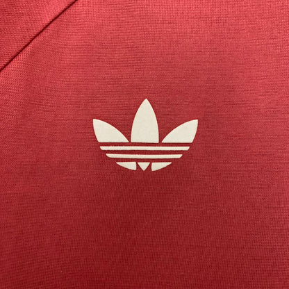 Camiseta Bayern Munich Edición Especial 2024/25 Versión Fan