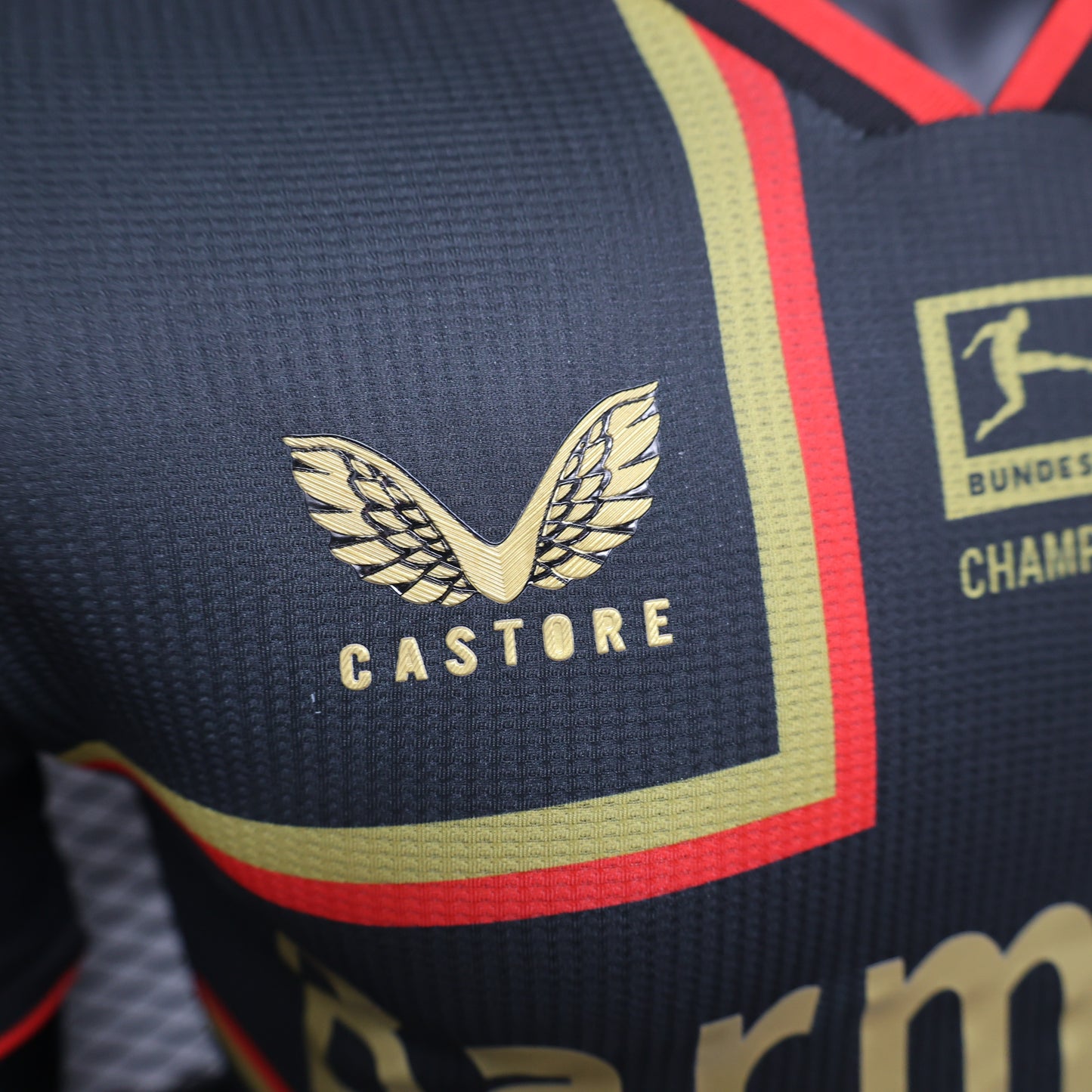 Camiseta Bayer 04 Leverkusen Edición Champions 2024/25 Versión Jugador