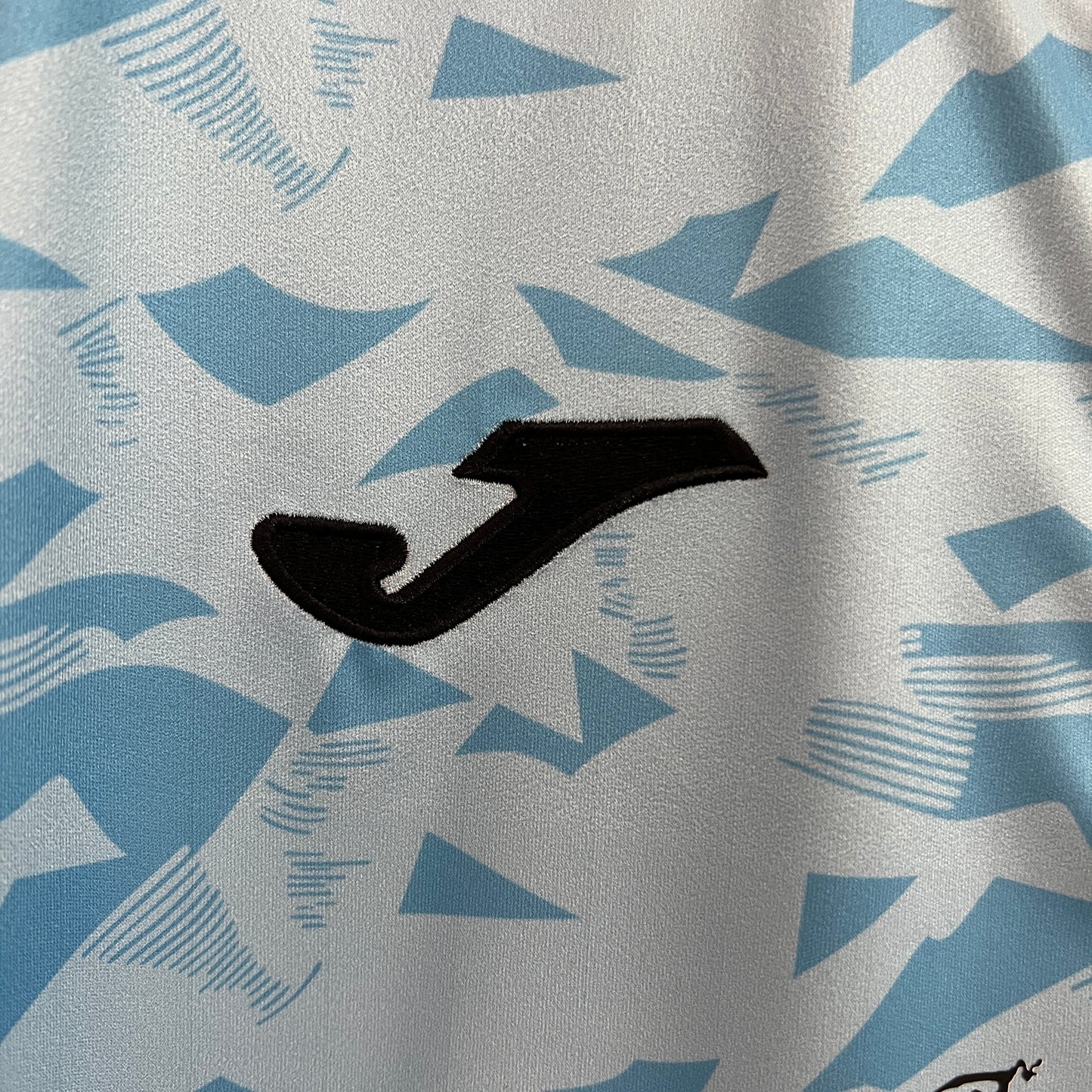 Camiseta O'Higgins Local 2024/25 Versión Fan