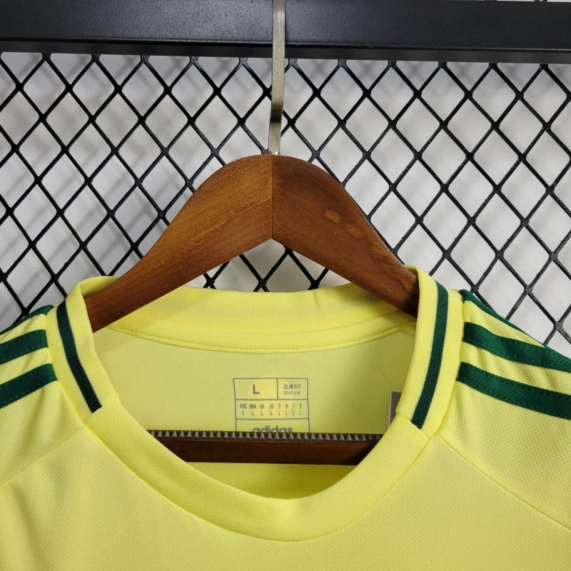 Camiseta Gales Visita 2024 Versión Fan