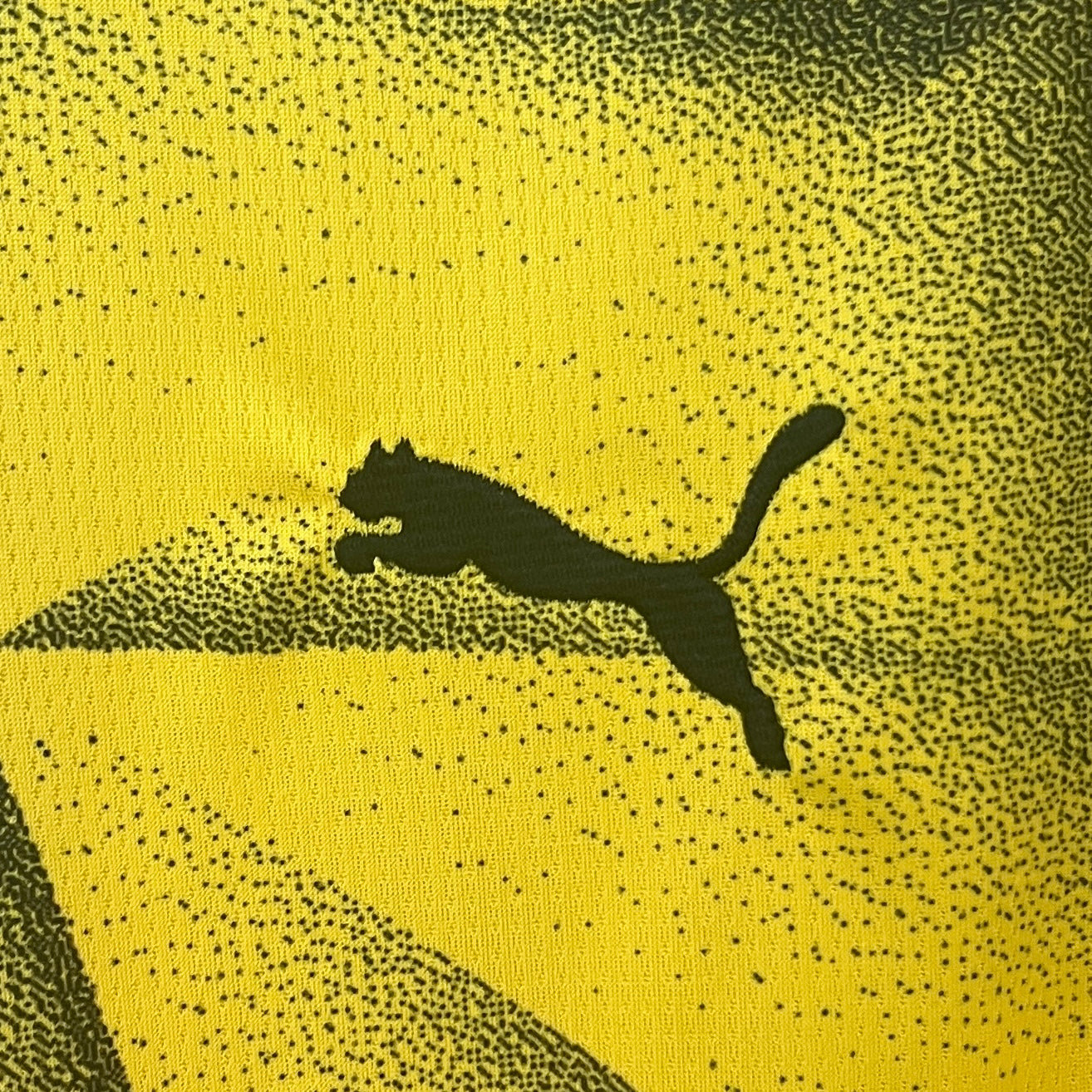 Camiseta Borussia Dortmund Tercera 2023/24 Versión Fan