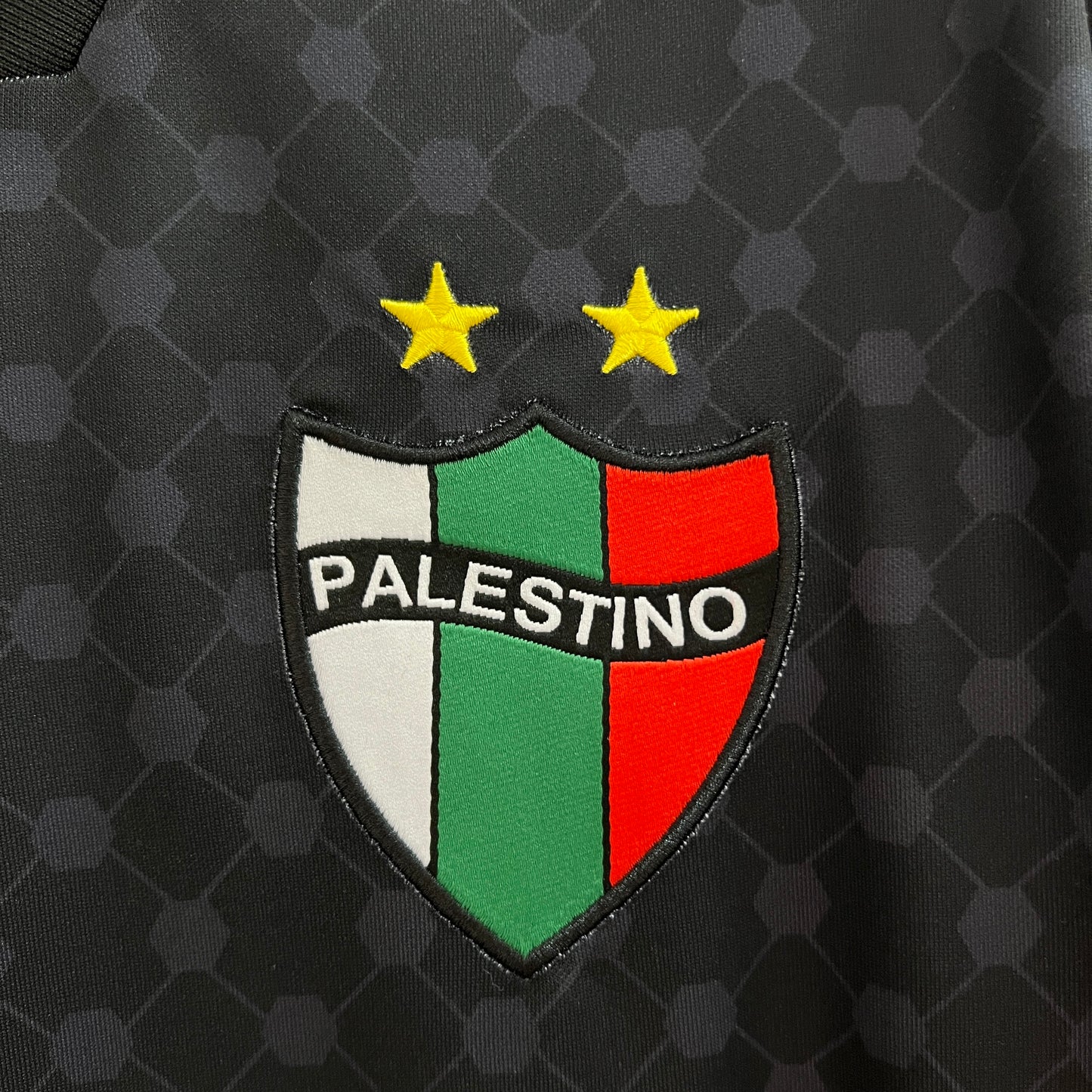 Camiseta Palestino Visita 2024/25 Versión Fan