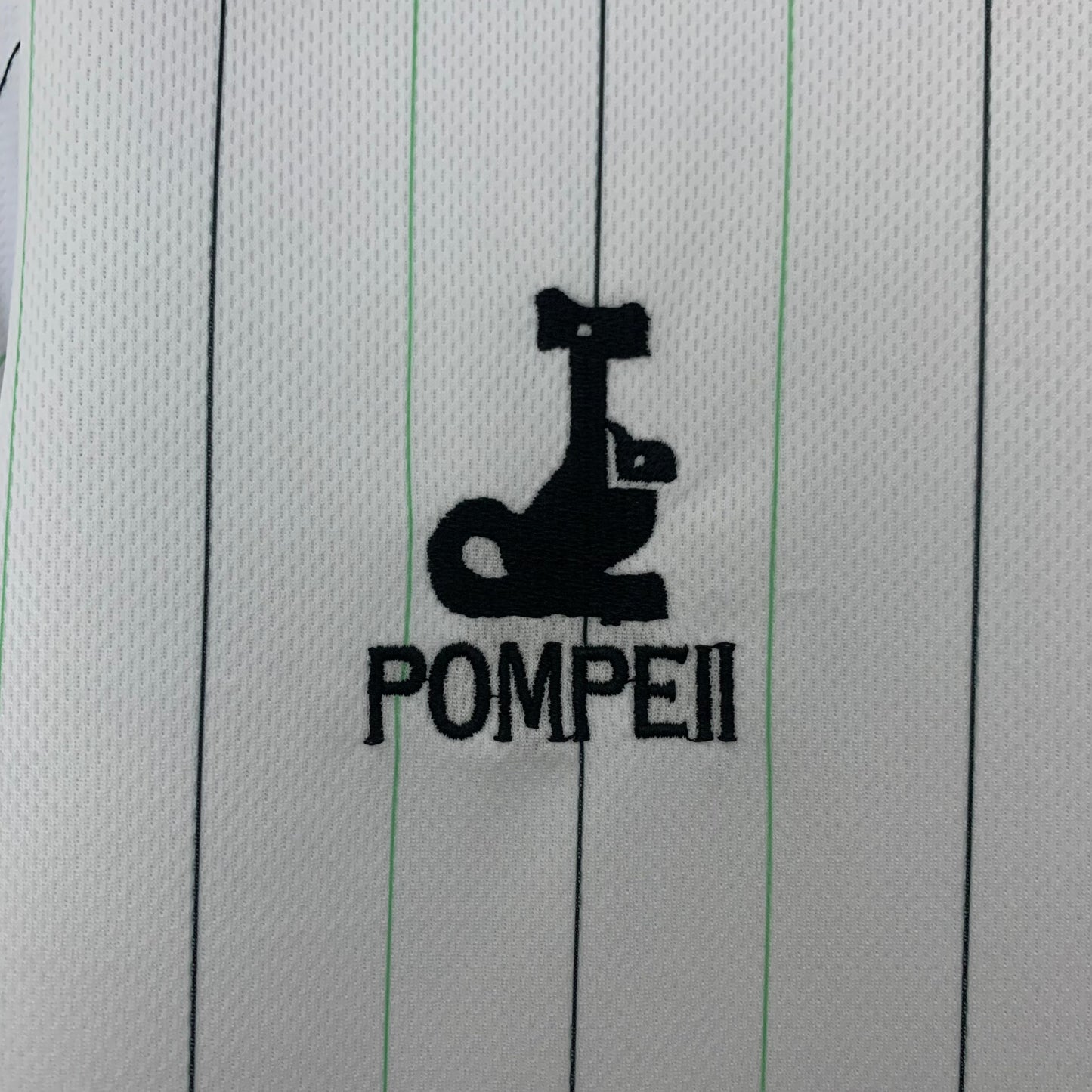 Camiseta Racing Santander 112th Aniversario 2025/26 Versión Fan