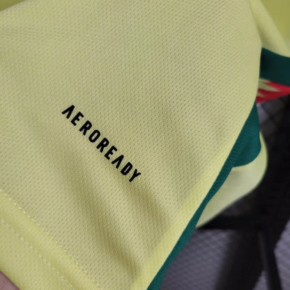 Camiseta Gales Visita 2024 Versión Fan