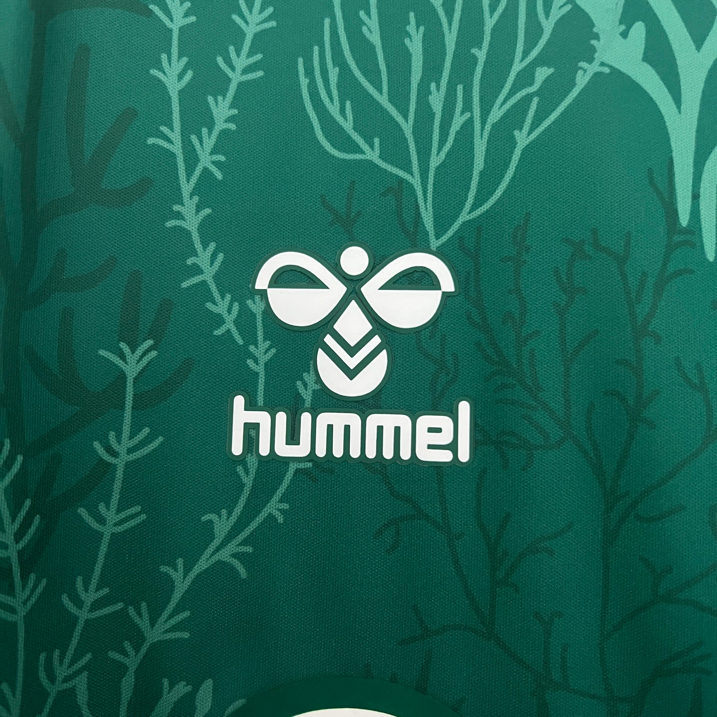 Camiseta Real Betis Edición Especial Verde 2025/26 Versión Fan