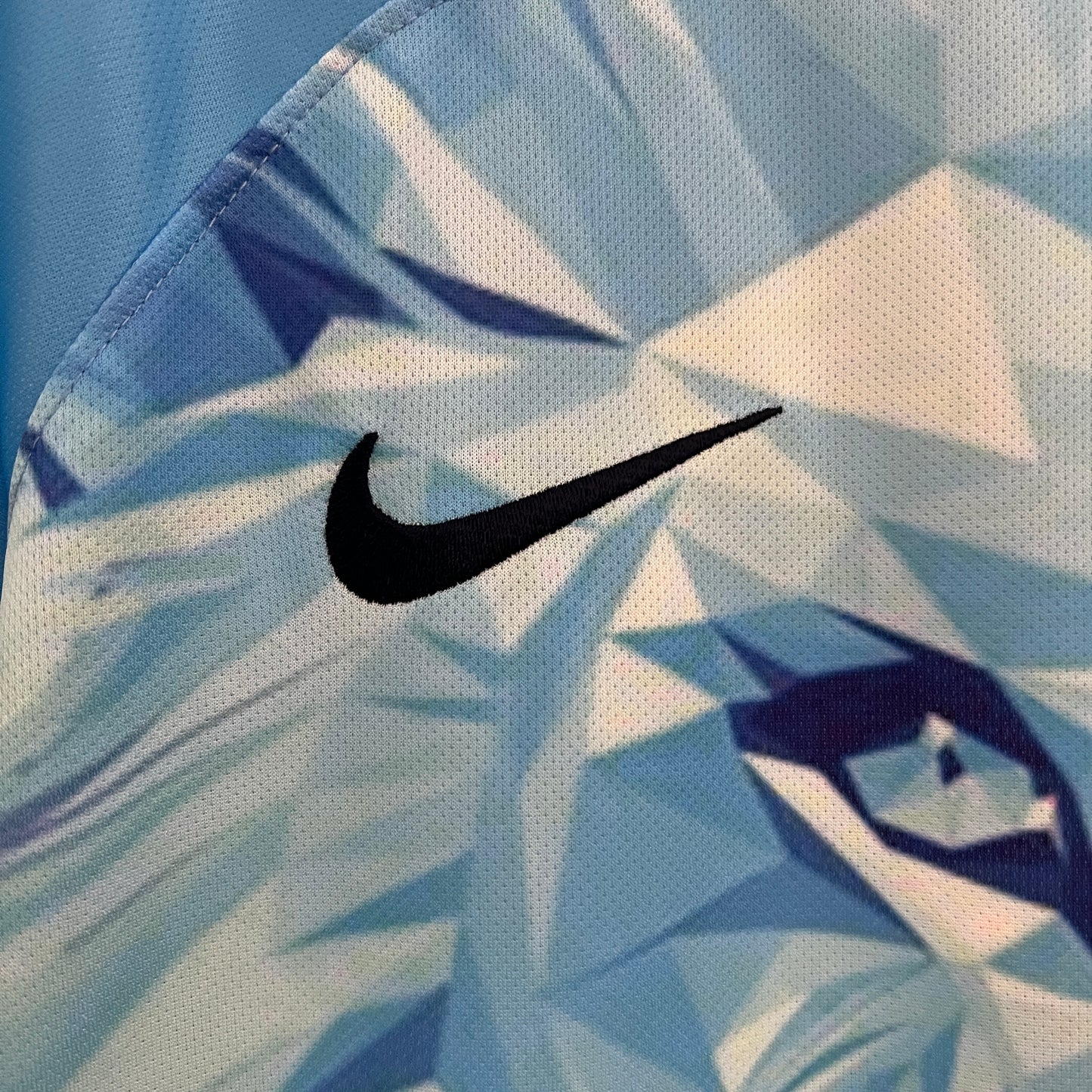 Camiseta Países Bajos Edición Especial León 2024 Versión Fan