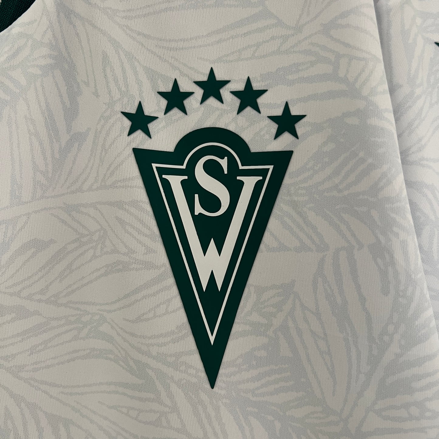 Camiseta Santiago Wanderers Visita 2024 Versión Fan