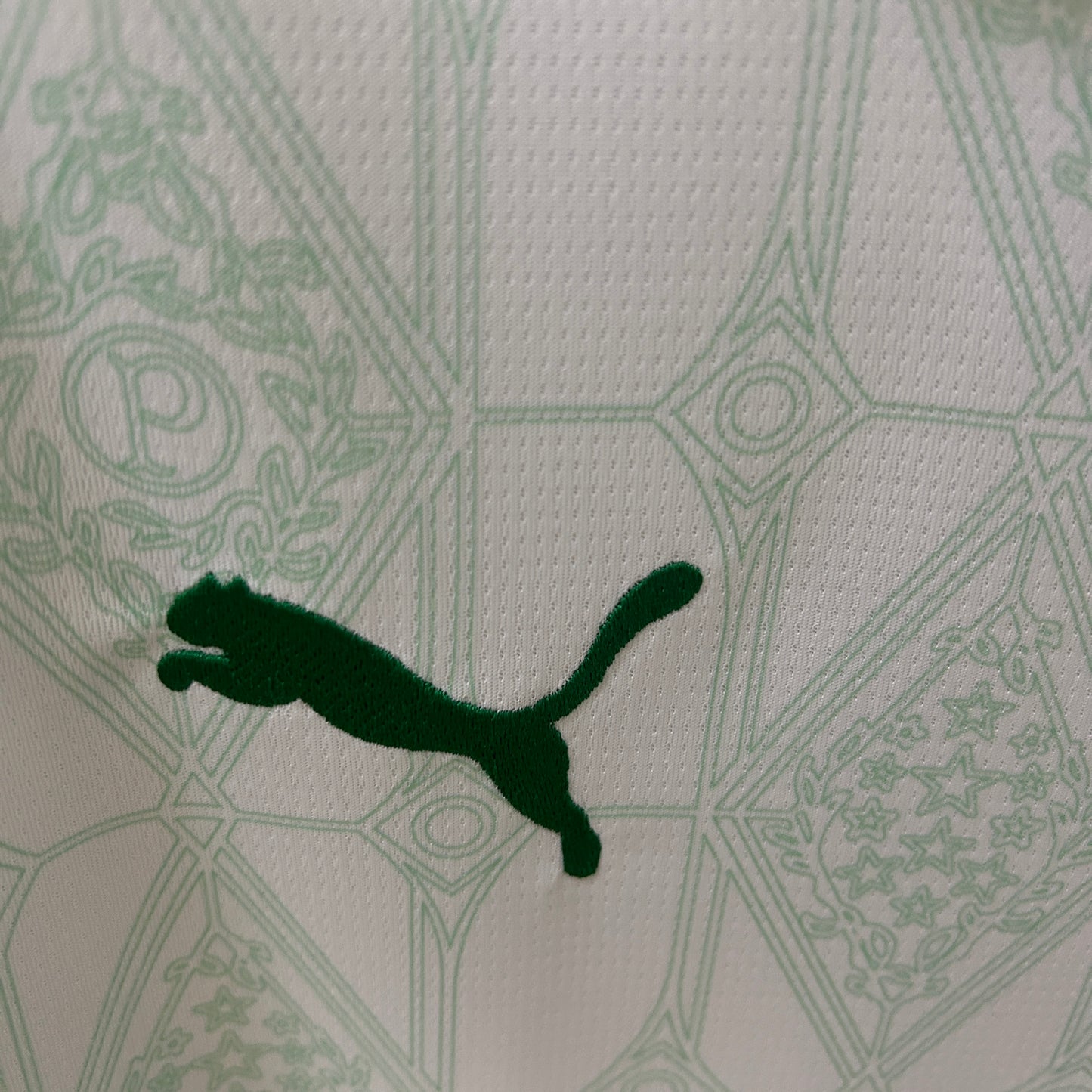 Camiseta Palmeiras Visita 2025/26 Versión Fan