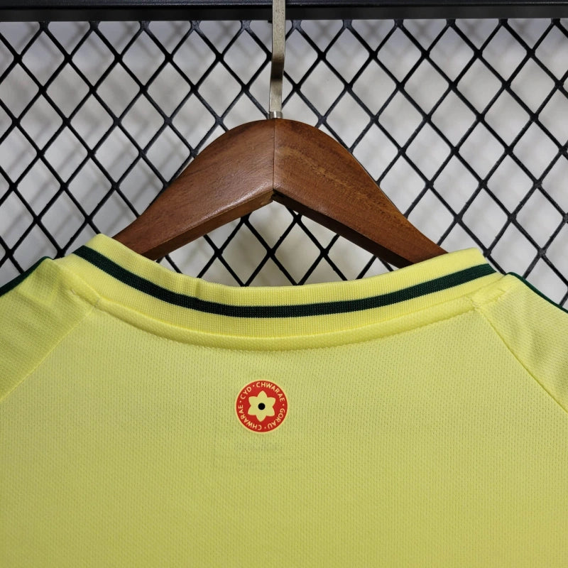 Camiseta Gales Visita 2024 Versión Fan