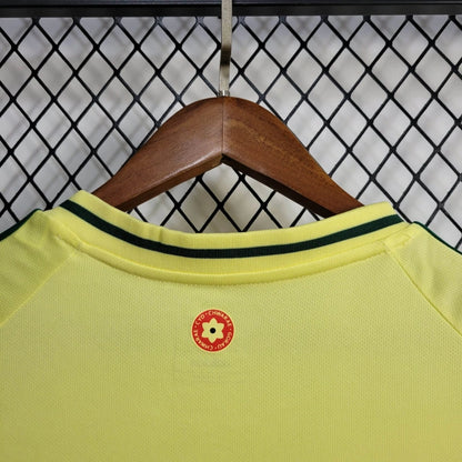 Camiseta Gales Visita 2024 Versión Fan