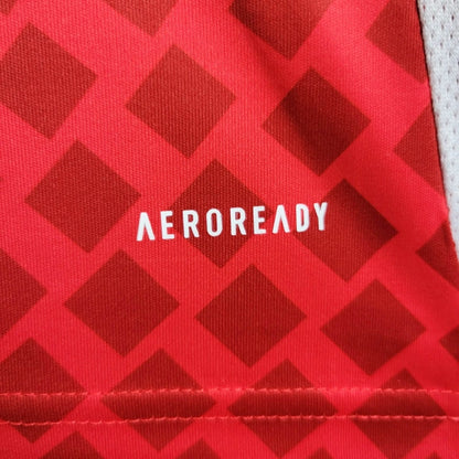 Camiseta Chile Local 2024 Versión Fan