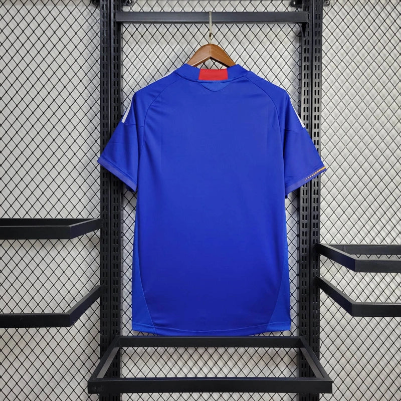 Camiseta Japón Local Retro 2010 Versión Fan