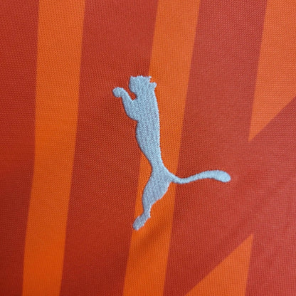 Camiseta Palmeiras Portero Local 2024 Versión Fan