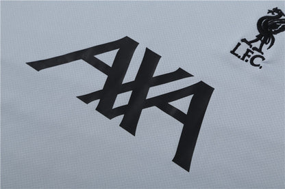 Liverpool Entrenamiento Kit Adulto Gris Verde 2023/24