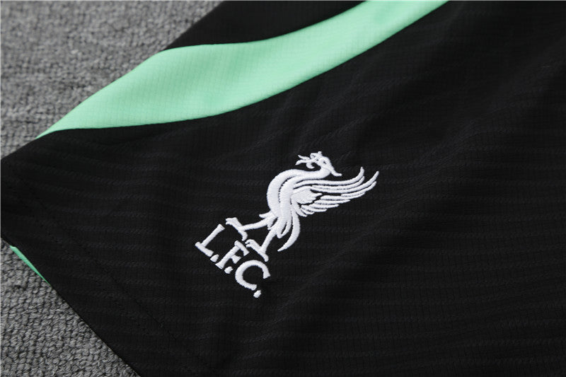 Liverpool Entrenamiento Kit Adulto Gris Verde 2023/24