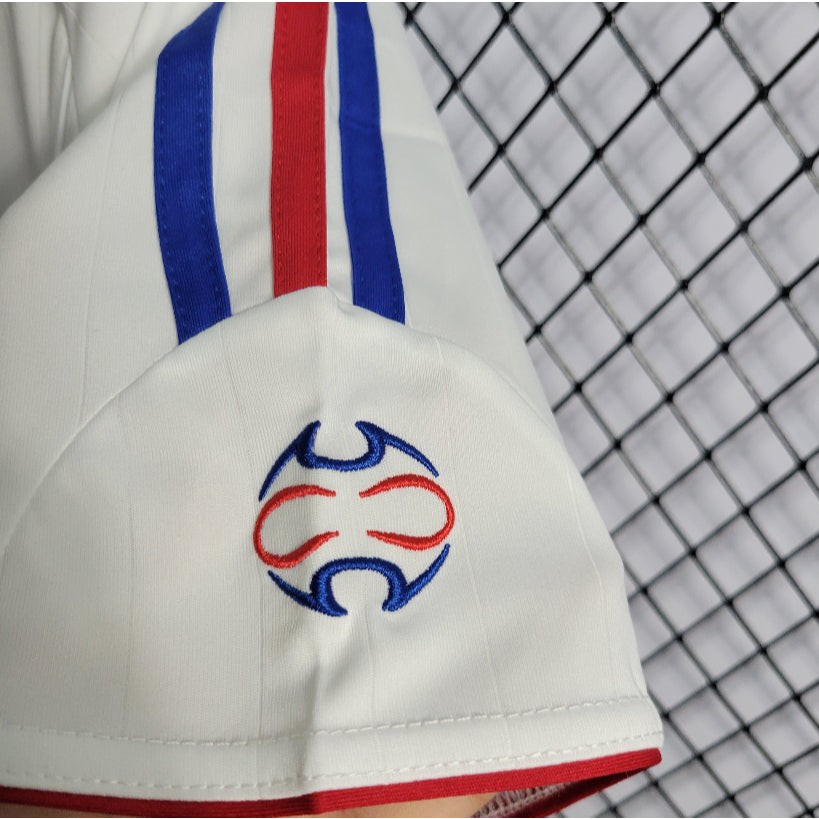 Camiseta Francia Visita Retro 2006