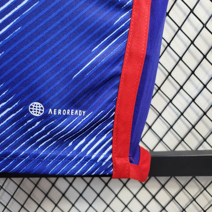 Camiseta Japón Local Qatar 2022 Versión Fan